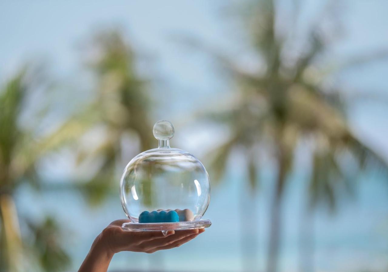 盛泰澜苏梅查汶海滩度假村酒店 外观 照片 A hand holding a glass bell jar with a blue starfish inside